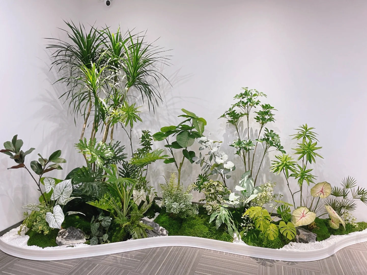 专业北仑盆景出租，装点您的空间之美